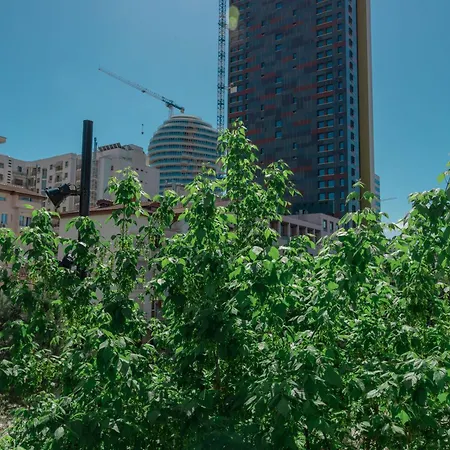 Vivar 公寓 地拉那